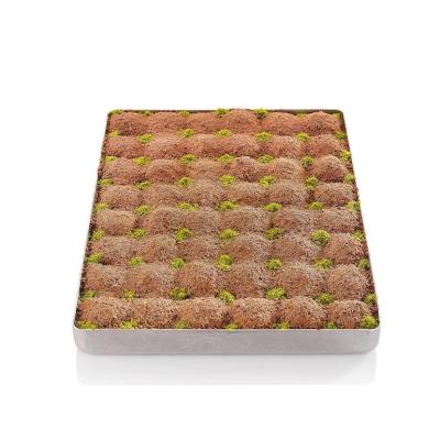CEVİZLİ SOĞUK BAKLAVA KG